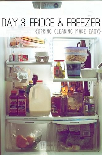Day 3: Clean Your Refrigerator & Freezer {Spring Cleaning Made Easy} at lifeyourway.net