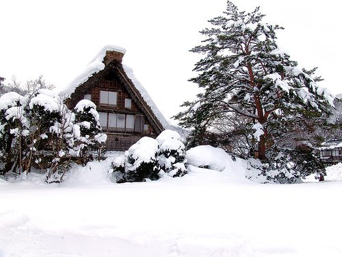 house covered in snow
