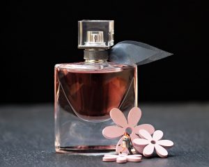 Read more about the article Apology is a Lovely Perfume