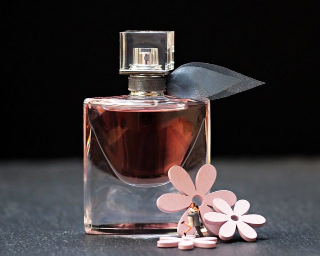 You are currently viewing Apology is a Lovely Perfume