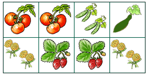 You are currently viewing Growing Your Own Food: Planning the Layout