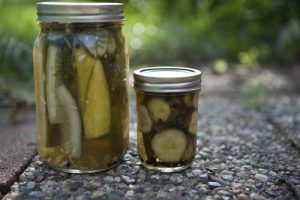 Read more about the article Food Science Camp: Dill Pickles