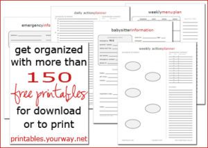 Read more about the article New & Improved Printables for Your Home Management Notebook + More
