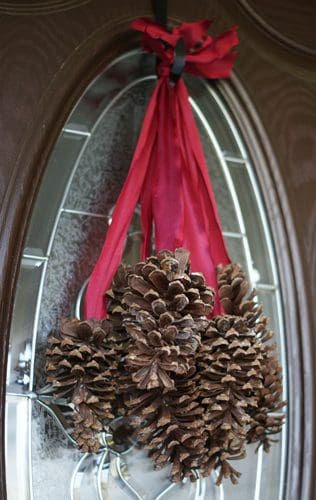 hanging pinecones