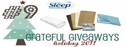 Grateful Giveaways 9 Sleep Innovations Memory Foam Bath Mats