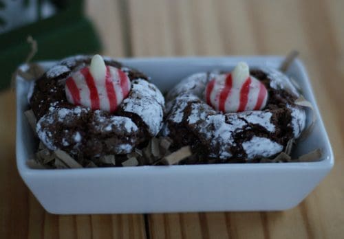 chocolate candy cane blossoms