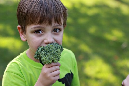 gardening with kids