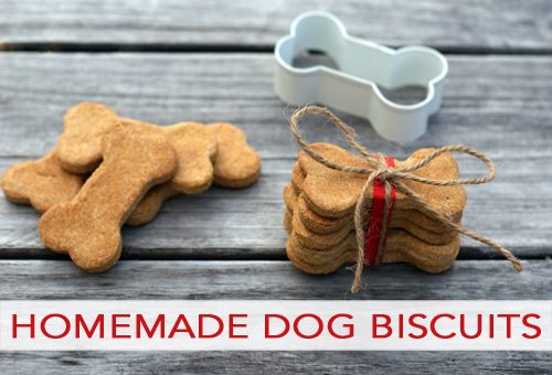 You are currently viewing Homemade Dog Biscuits
