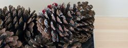 You are currently viewing 101 Days of Christmas: DIY Glittery Pinecones