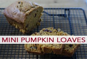 Read more about the article 101 Days of Christmas: Mini Cranberry-Walnut Pumpkin Loaves