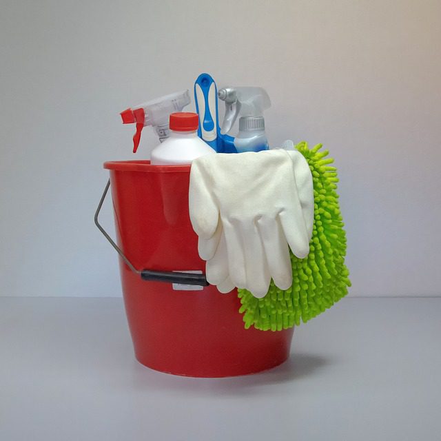 You are currently viewing 5 Things You Need to Put in Your Cleaning Bucket