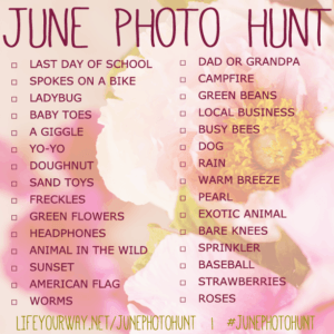 June Photo Hunt {For the Whole Family} at lifeyourway.net