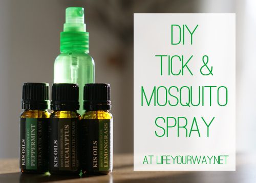 DIY Tick & Mosquito Spray at lifeyourway.net