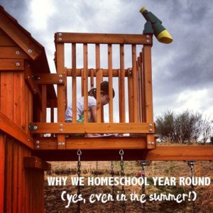 Read more about the article Why we homeschool year round (yes, even in the summer!)