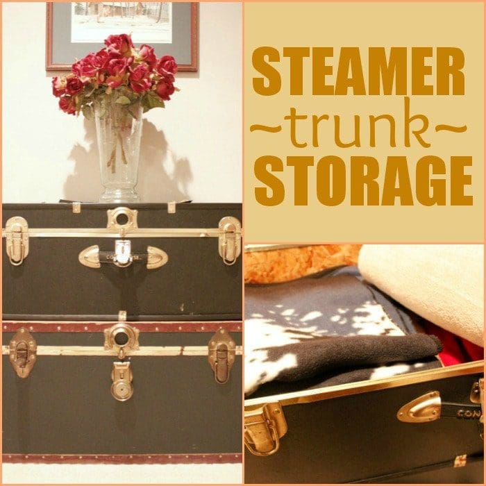 You are currently viewing Creative (and Inexpensive) Storage Solutions