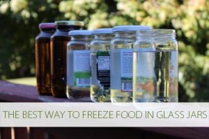Read more about the article The BEST Way to Freeze Food in Glass Jars