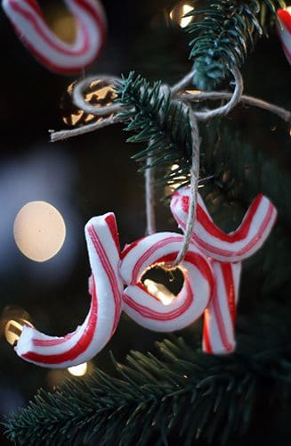 Real Candy Cane Ornaments {101 Days of Christmas at lifeyourway.net}