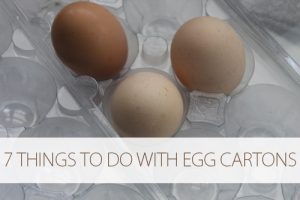 Read more about the article 7 Things to Do with Egg Cartons