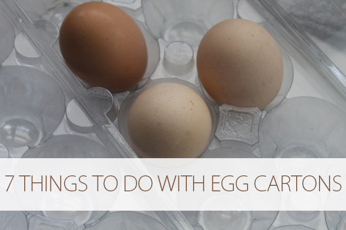 How to Reuse an Egg Carton - Eggs from the Farmer