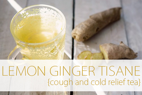 Lemon Ginger Tisane {Tea} Cough and Cold Remedy via LifeYourWay.net