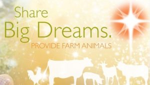 Read more about the article Farm animals for Christmas {101 Days of Christmas}