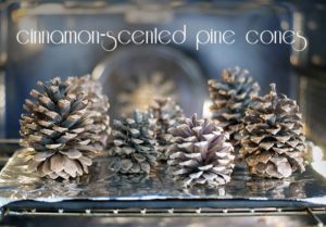 Read more about the article Cinnamon-scented pine cones {101 Days of Christmas}