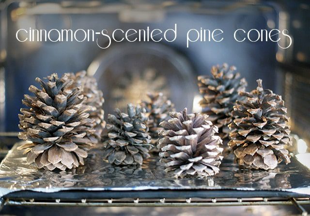 You are currently viewing Cinnamon-scented pine cones {101 Days of Christmas}