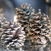 Cinnamon-Scented Pine Cones