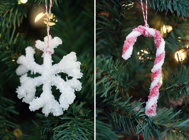 You are currently viewing Borax crystal ornaments {101 Days of Christmas}