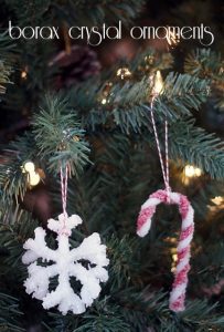 Read more about the article Borax crystal ornaments {101 Days of Christmas}
