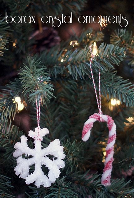 You are currently viewing Borax crystal ornaments {101 Days of Christmas}