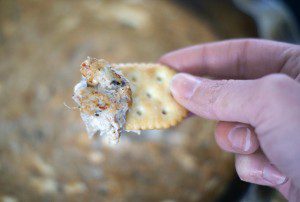 Read more about the article Hot crab dip {101 Days of Christmas}