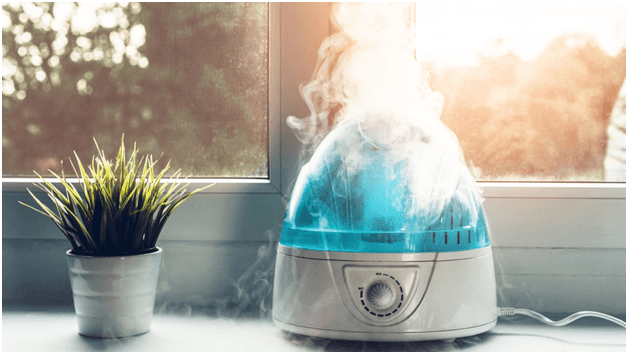 Humidifier Recommendations