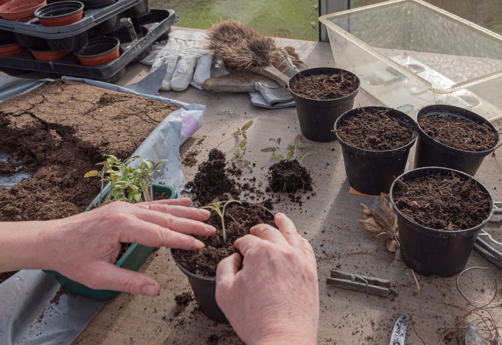 Re-potting