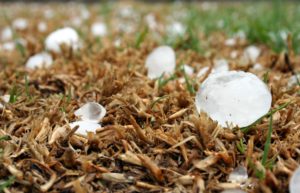 Read more about the article What Does Roof Hail Damage Look Like and How Can I Fix It?
