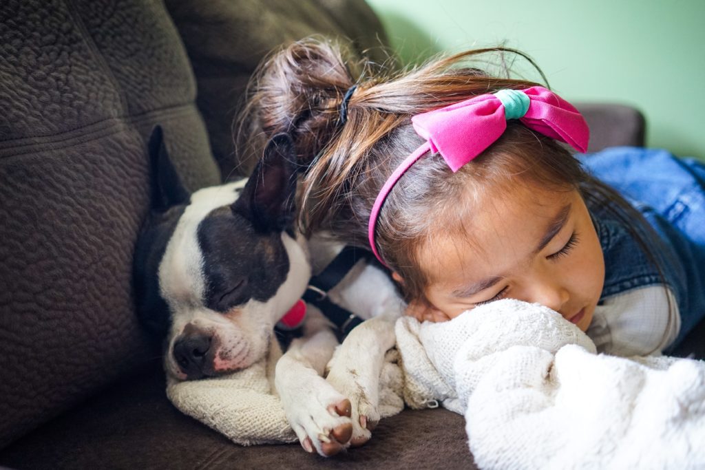 Sleeping child and dog