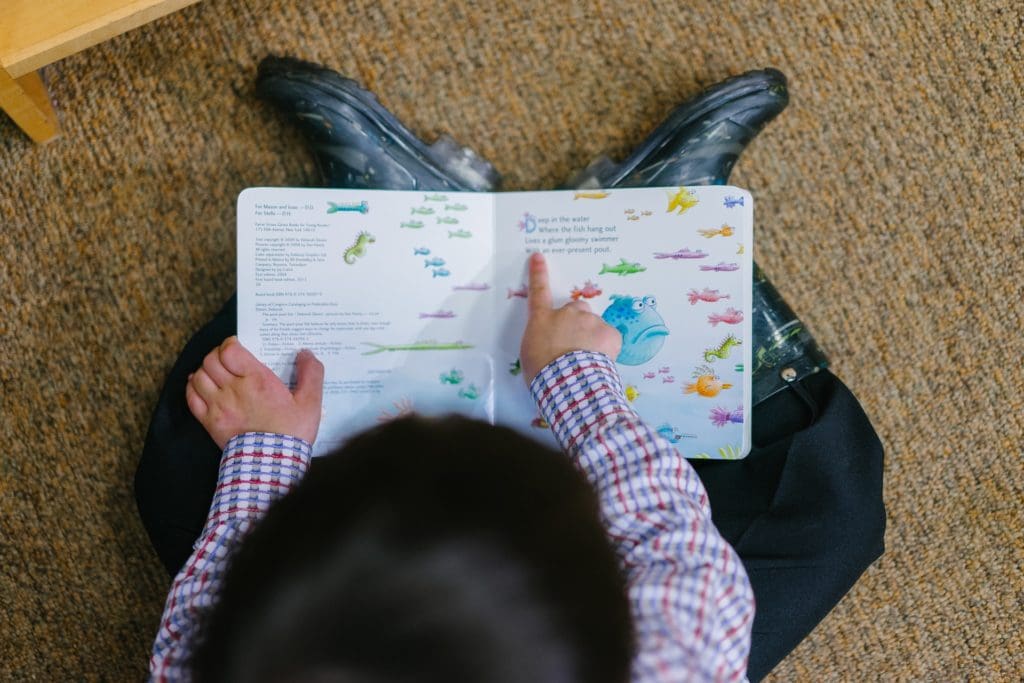 Toddler reading