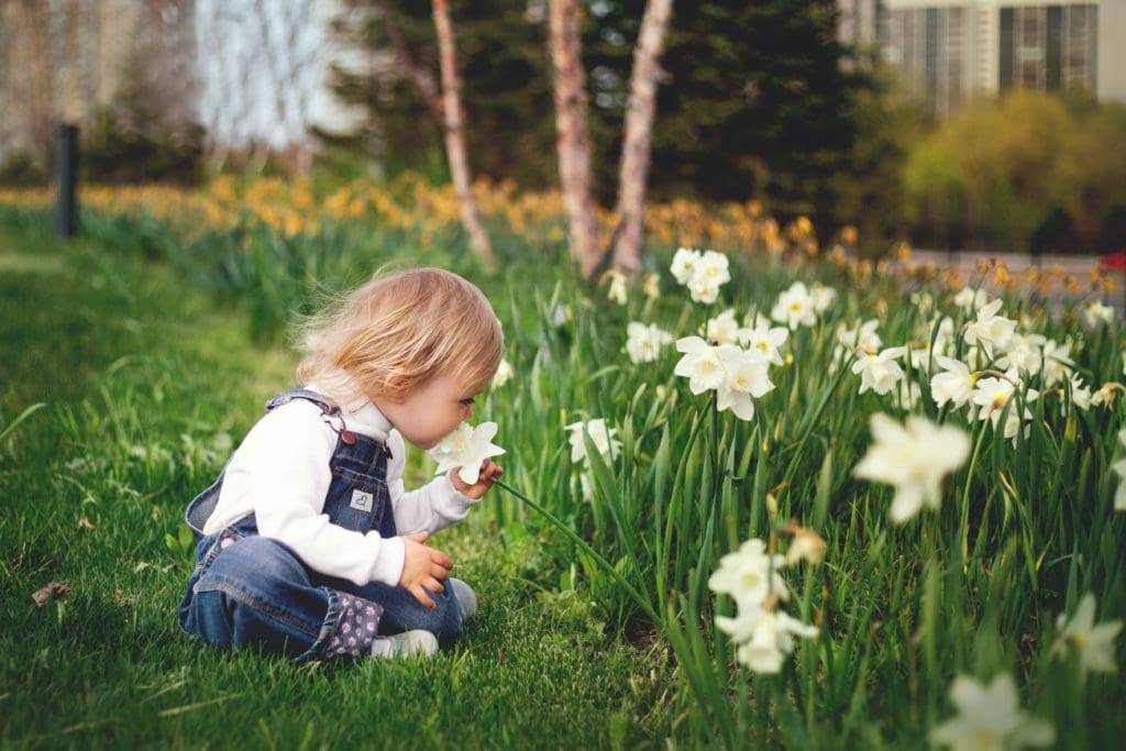 Toddler sitting