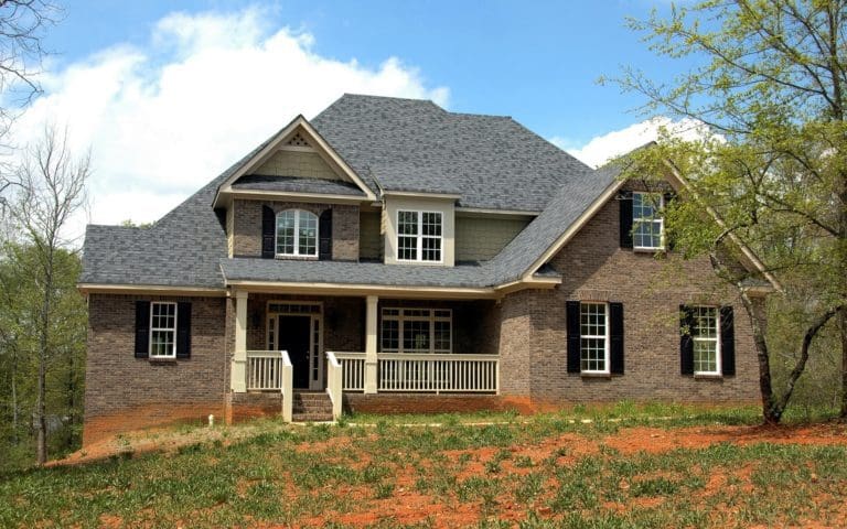 4 Common Pests That Can Damage Your Home