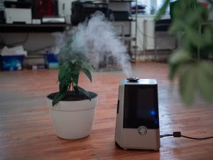 Read more about the article How A Humidifier Can Help with Sinus Problems