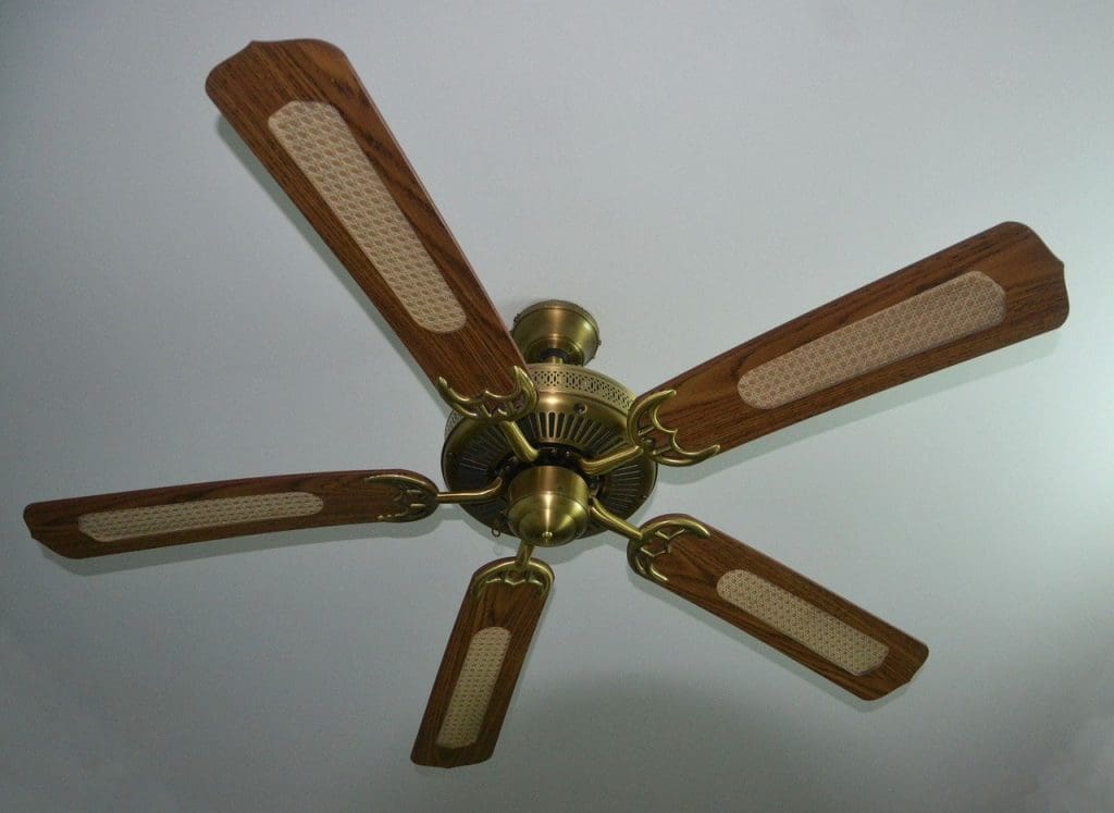 Ceiling fan