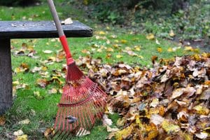 Raking the garden