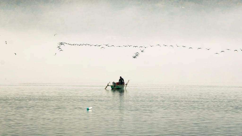 Fishing weather