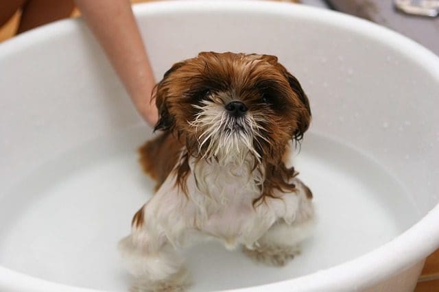 Bath time