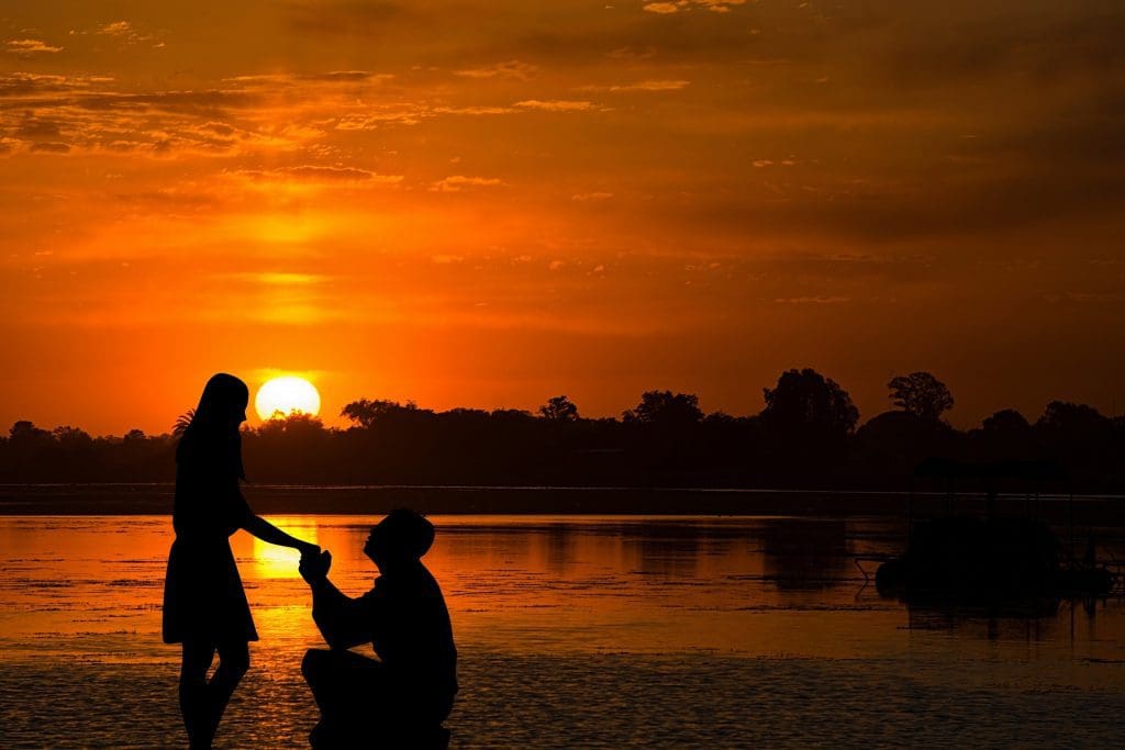 Sunset proposal