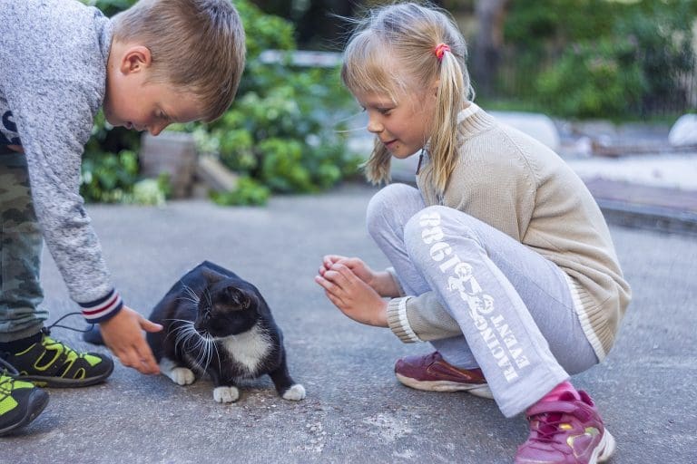 6 Tips for Keeping Your Family Happy and Strong