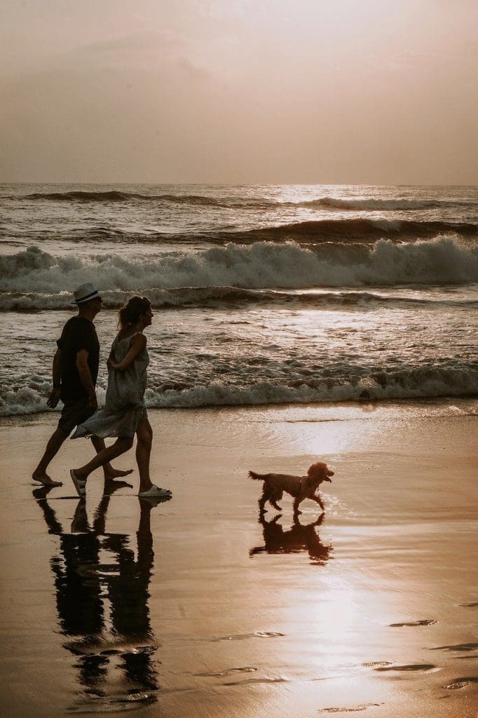 Walking by the ocean