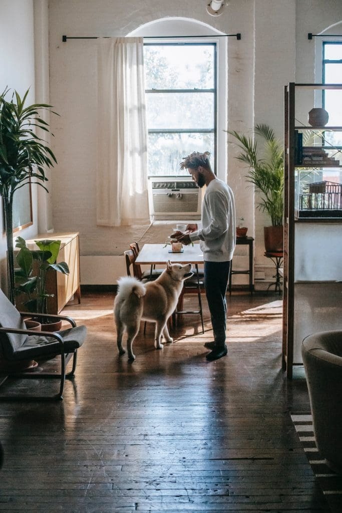 Gallery image with a fresh perspective