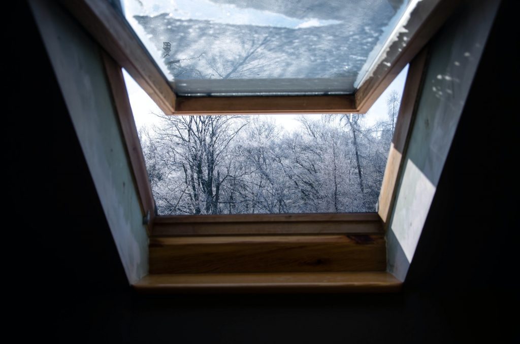 Skylight window
