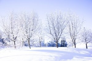 Read more about the article Winter Mental Health Tips
